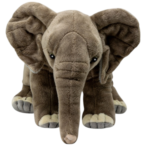 Preview: Elefant, Afrikanischer Elefant