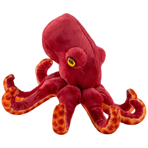 Preview: Krake, Oktopus rot