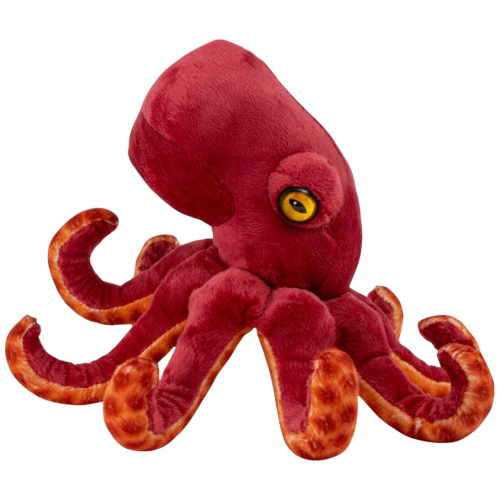 Preview: Krake, Oktopus rot