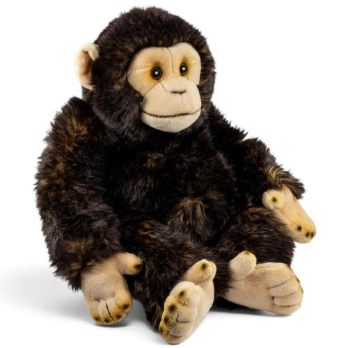 Carl Dick Plush Toy Chimpanzee