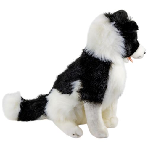 Preview: Border Collie sitzend