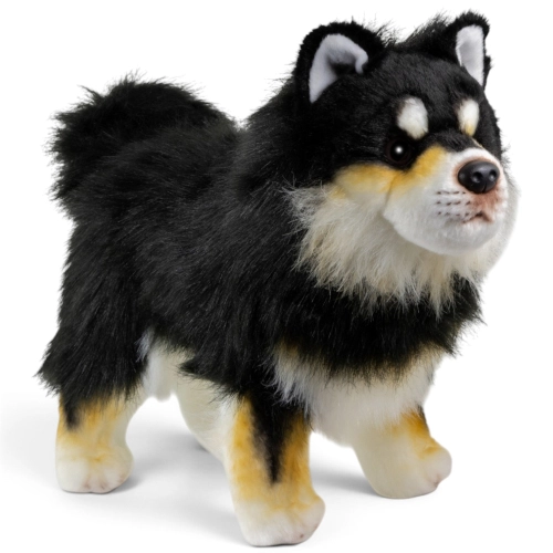 Carl Dick Plüschtier Finnischer Lapphund, Lapinkoira