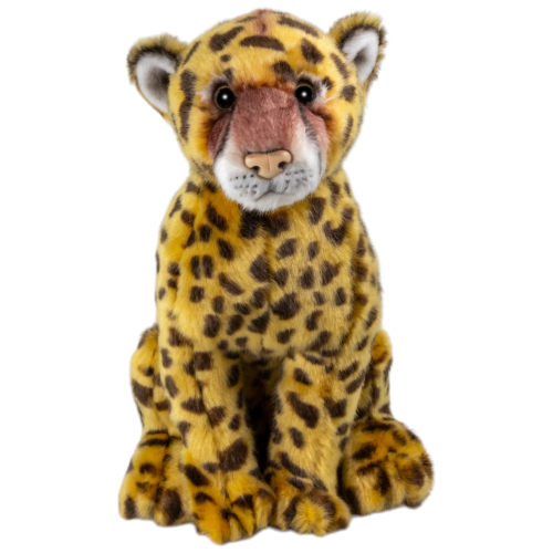 Preview: Gepard sitzend