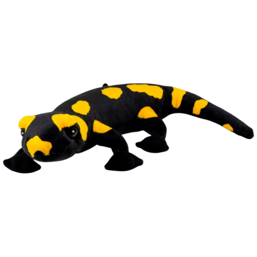 Feuersalamander