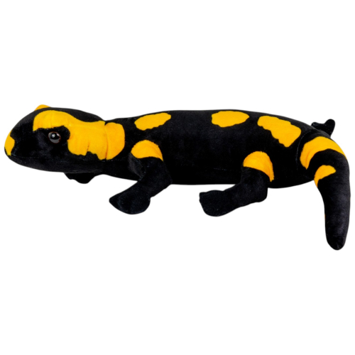 Preview: Feuersalamander