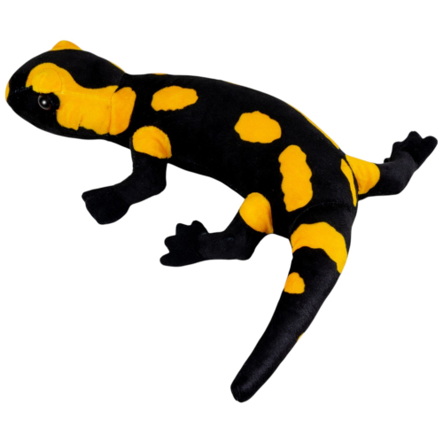 Preview: Feuersalamander