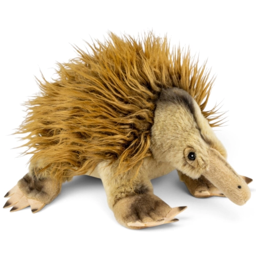 Carl Dick Plush Toy Echidna