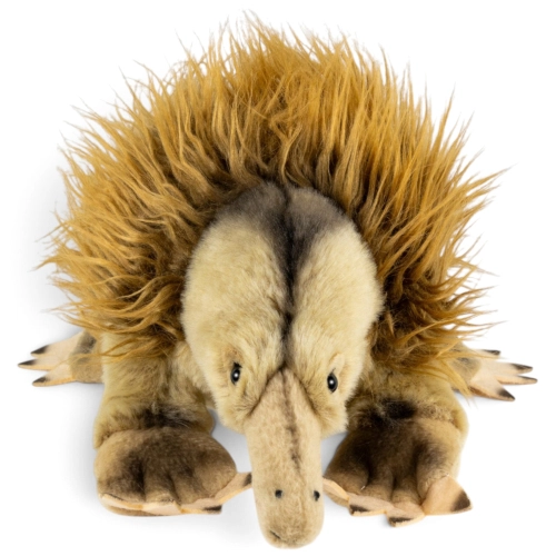 Carl Dick Plüschtier Ameisenigel, Echidna