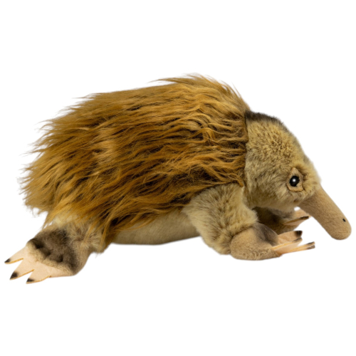 Preview: Ameisenigel, Echidna