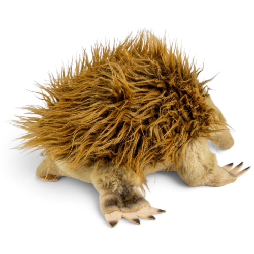 Carl Dick Plüschtier Ameisenigel, Echidna
