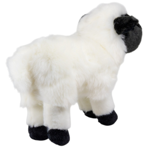 Preview: Schaf, Lamm schwarz-weiß stehend