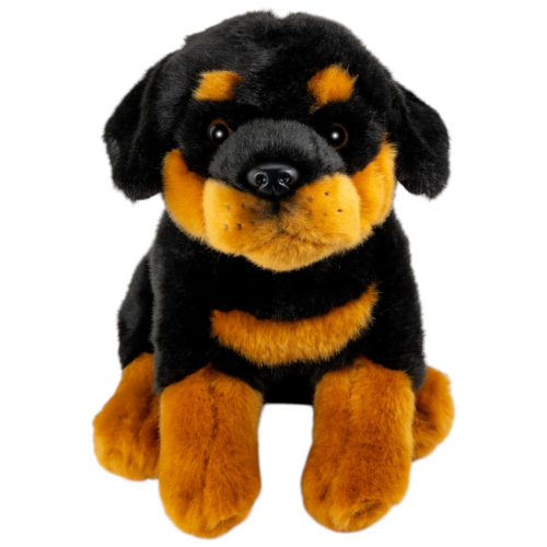 Preview: Rottweiler sitzend