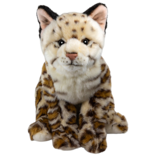 Preview: Ozelot sitzend