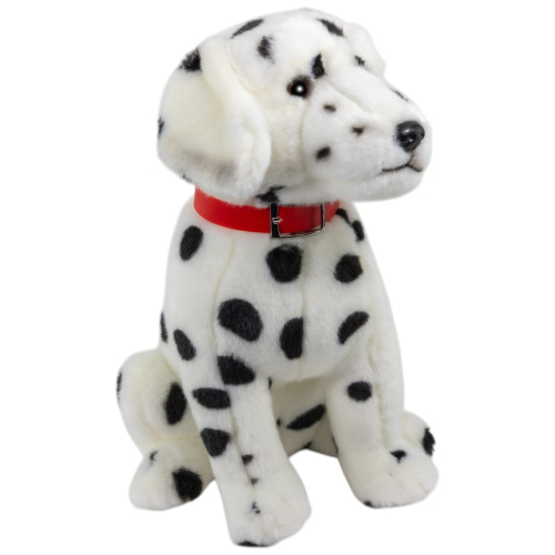 Dalmatiner sitzend mit Halsband