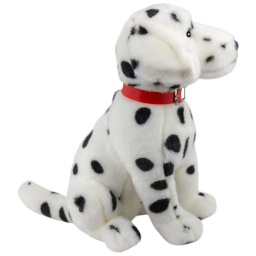 Preview: Dalmatiner sitzend mit Halsband