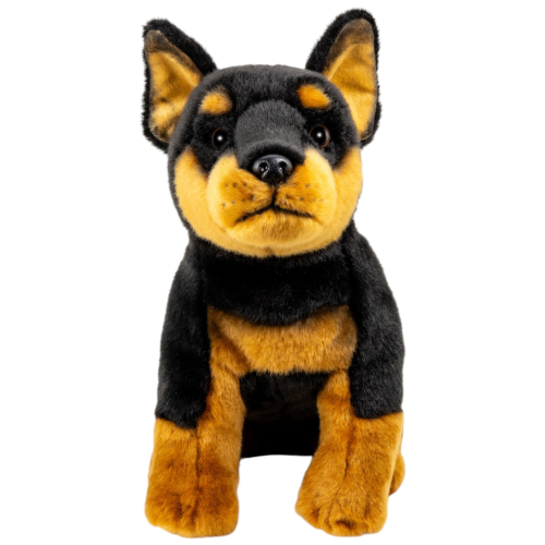 Preview: Dobermann Hund sitzend