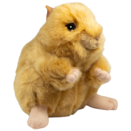 Hamster, Goldhamster aufrecht