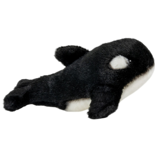 Preview: Orca Killer Whale