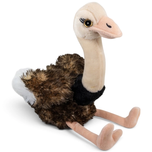 Carl Dick Plush Toy Ostrich