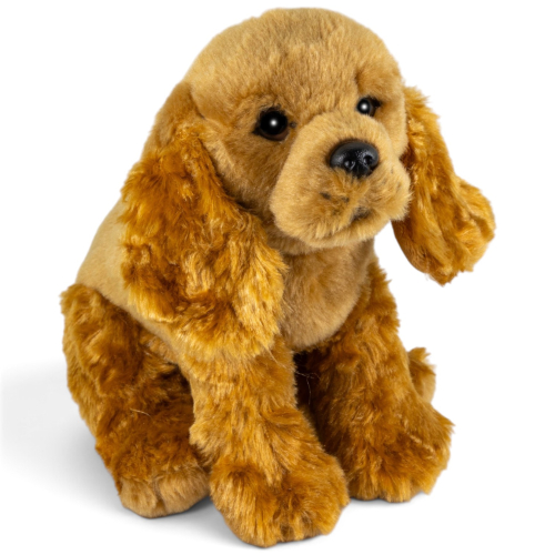 Preview: Cocker Spaniel sitting