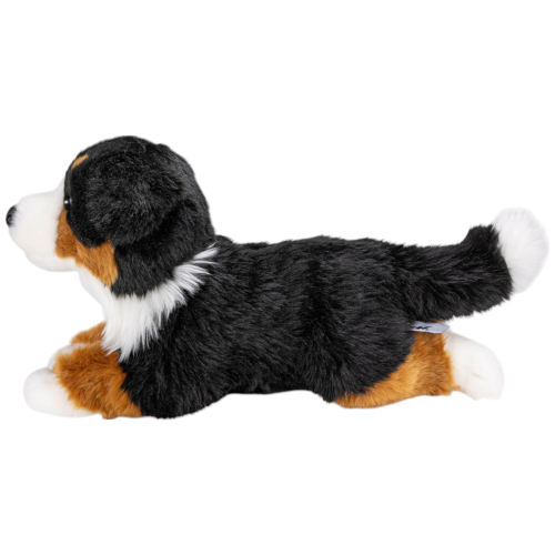 Preview: Berner Sennenhund liegend