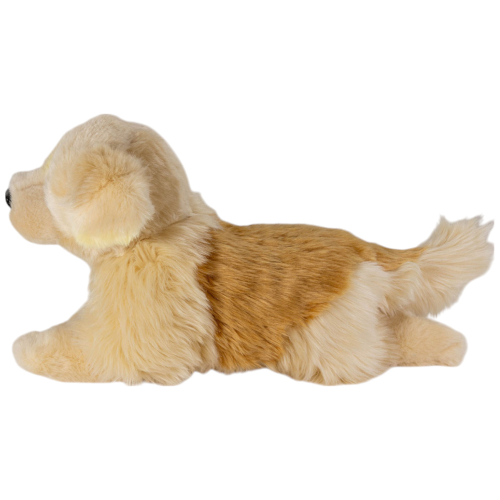 Preview: Golden Retriever liegend