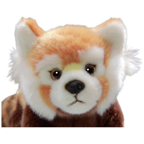 Preview: Katzenbär, Roter Panda