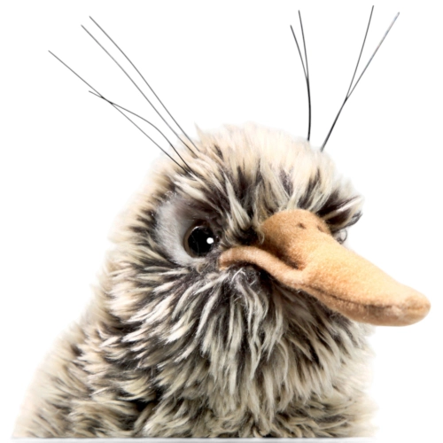 Carl Dick Plush Toy Kiwi