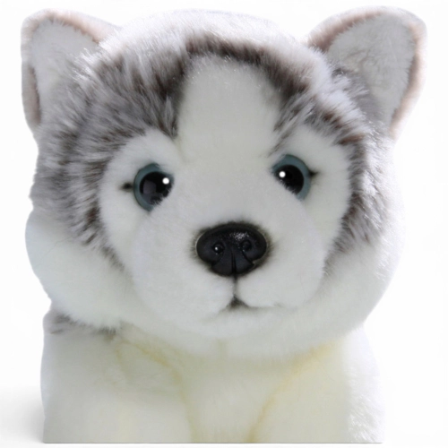 Carl Dick Plush Toy Husky Dog Floppy