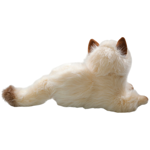 Preview: Katze, Perserkatze liegend beige