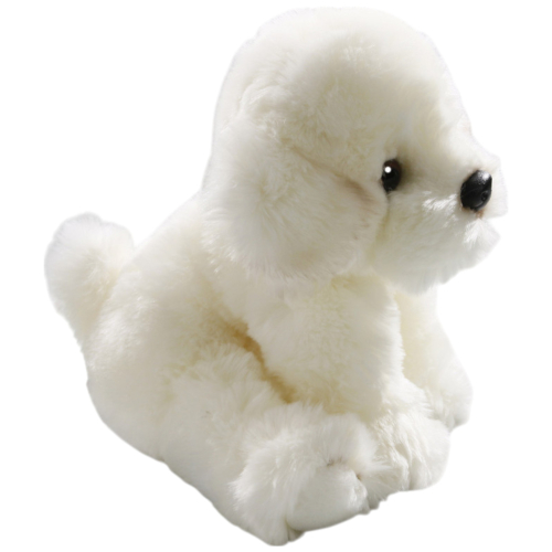 Preview: Bichon sitzend