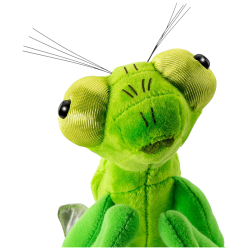 Preview: Heuschrecke, Gottesanbeterin