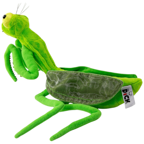 Preview: Heuschrecke, Gottesanbeterin