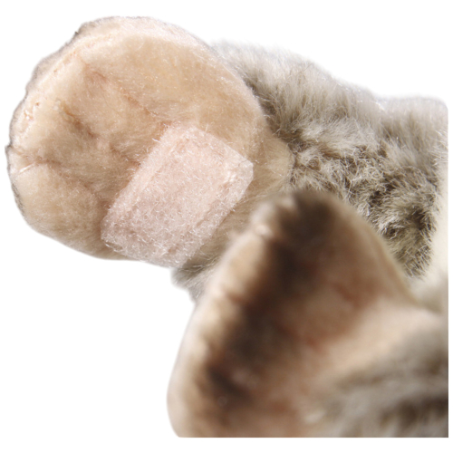 Preview: Buschbaby, Galagos