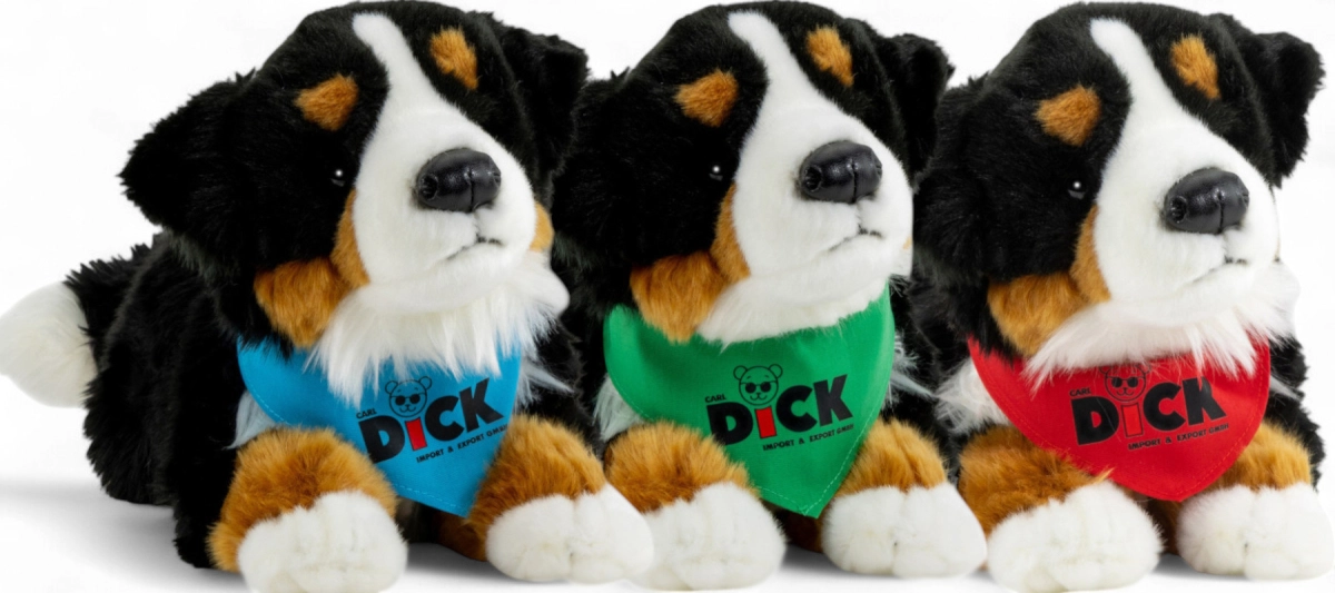 Bernese Mountain Dog with scarf