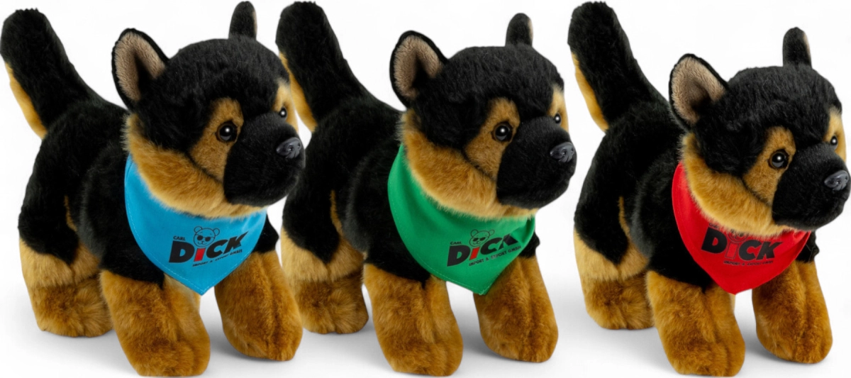 German Shepherd with scarf