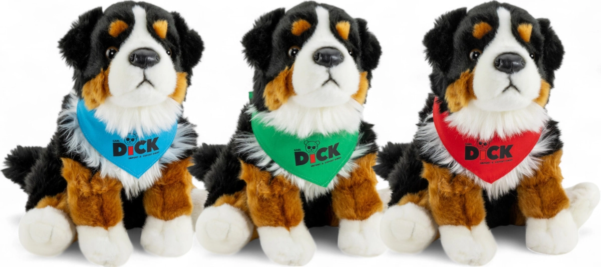 Bernese Mountain Dog with scarf