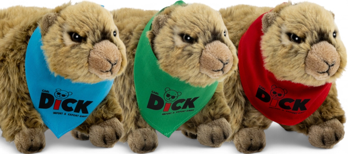 Marmot with scarf