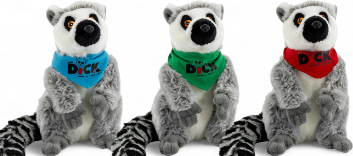 Katta, Lemur with scarf