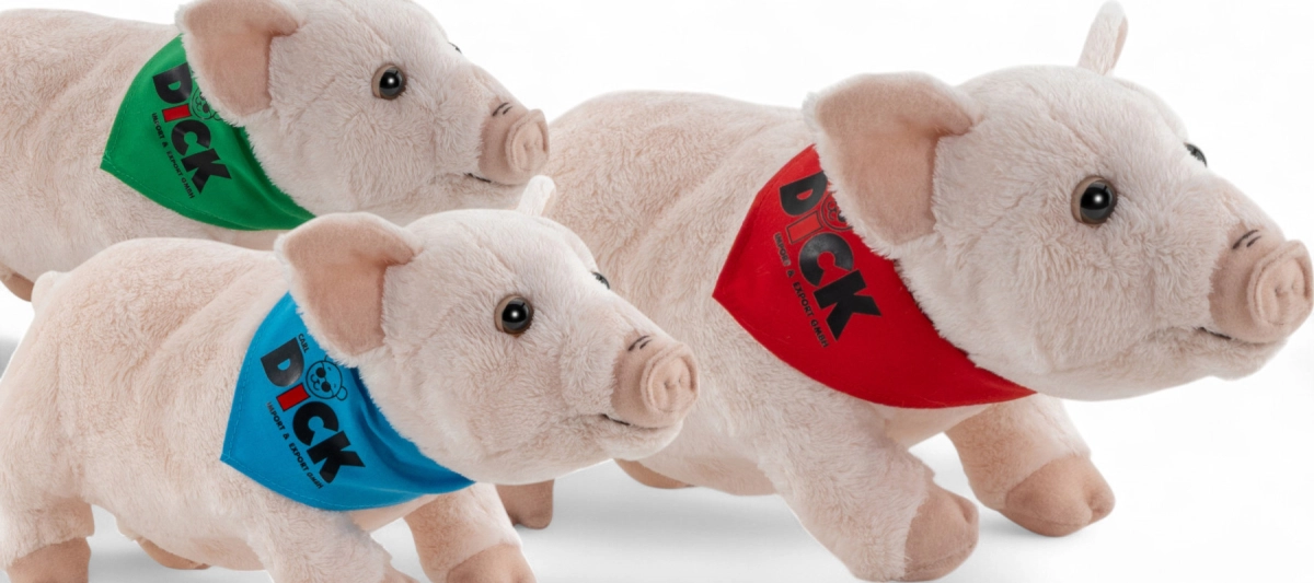 Pig with scarf