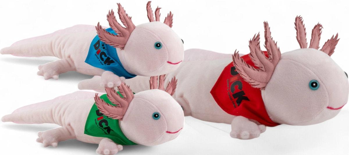 Axolotl with scarf