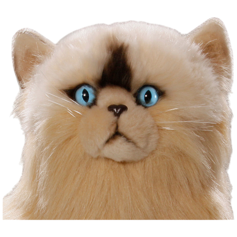 Carl Dick Plüschtier Katze, Perserkatze sitzend beige