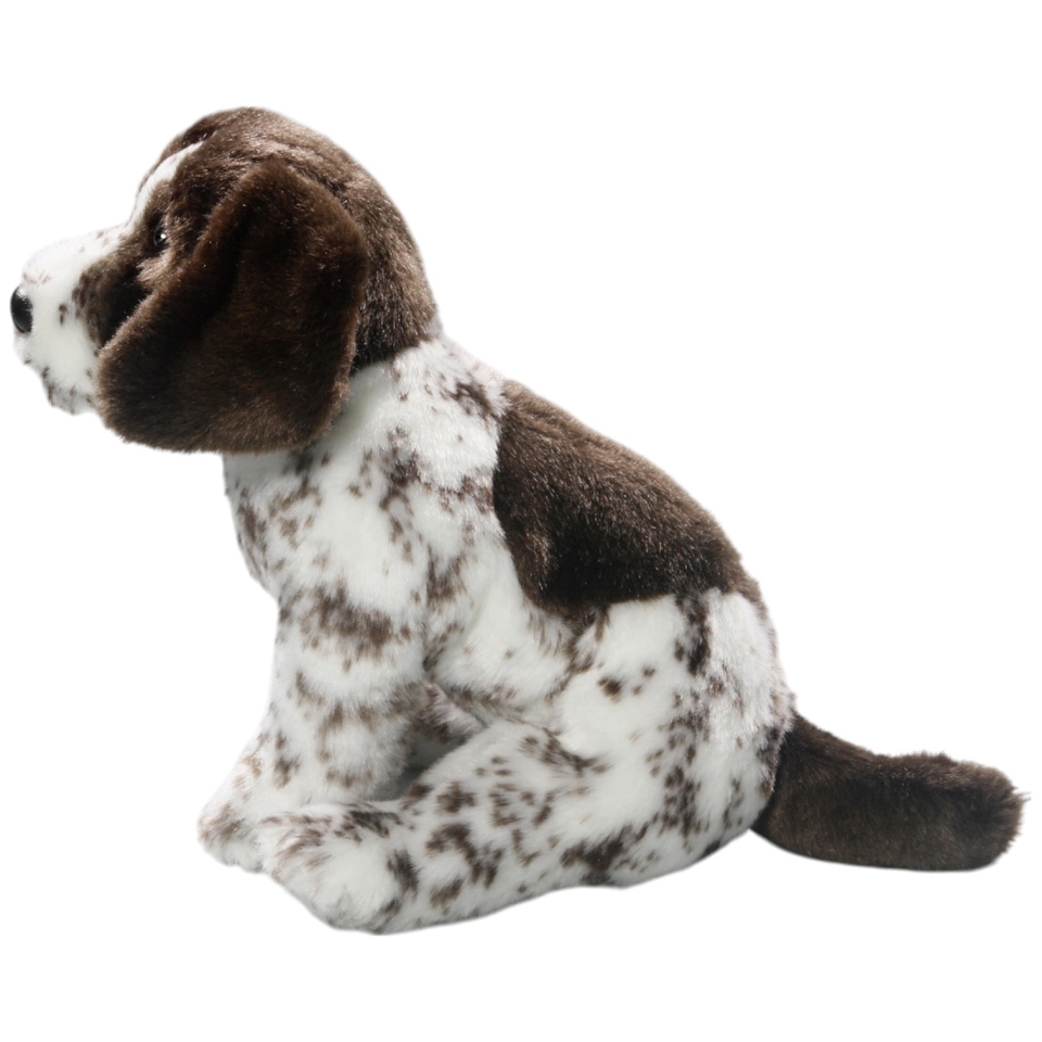 English Pointer