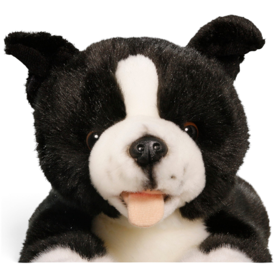Carl Dick Plüschtier Border Collie Welpe