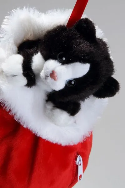 Carl Dick Plush Toy Cat in X-Mas Socking