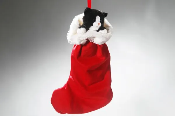 Carl Dick Plush Toy Cat in X-Mas Socking