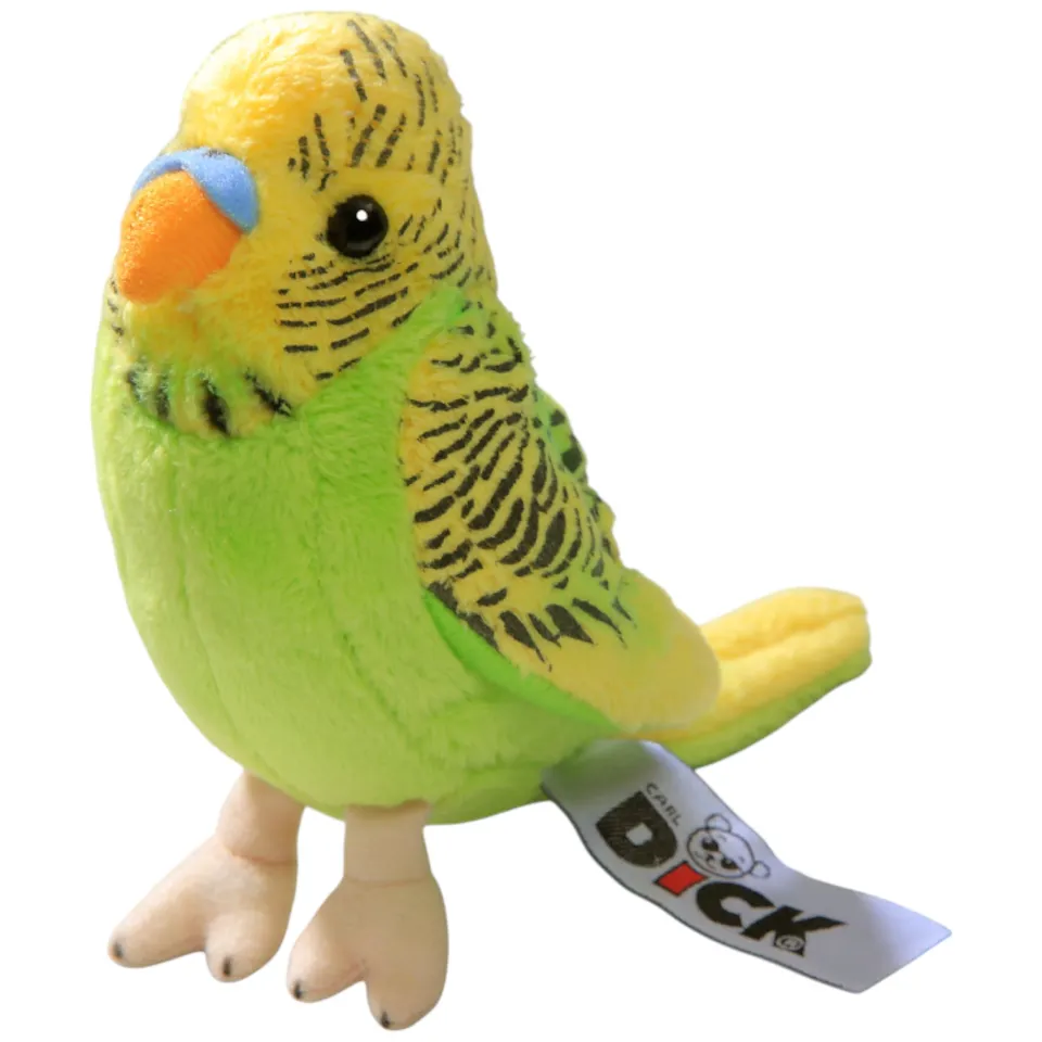 Budgerigar assorted Budgerigar assorted
