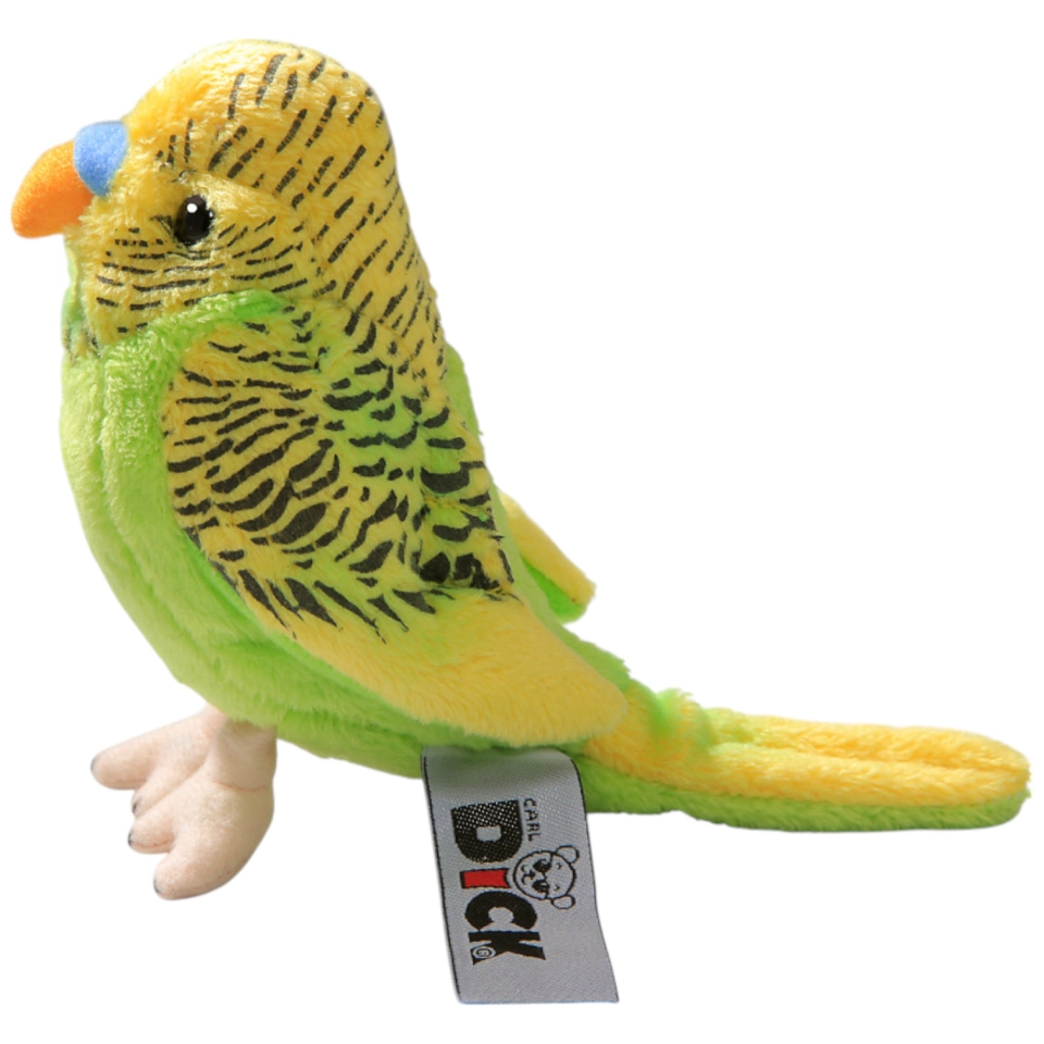 Budgerigar assorted Budgerigar assorted