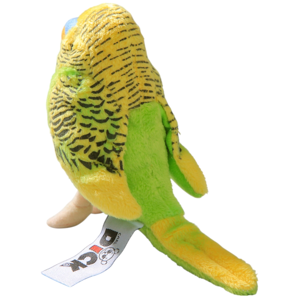 Budgerigar assorted Budgerigar assorted