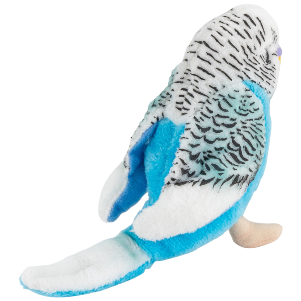 Wellensittich blau-weiss